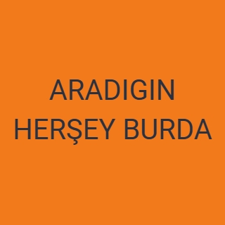 ARADIGIN HERŞEY BURDA