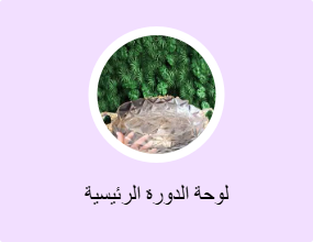 لوحة الدورة الرئيسية