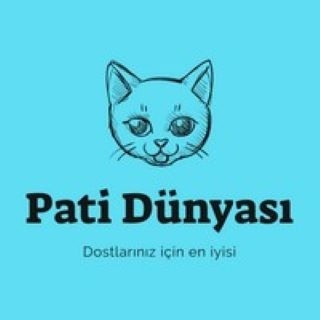 patidünyası