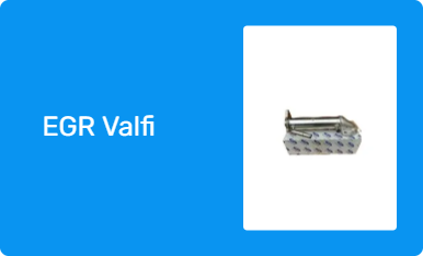 EGR Valfi