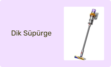 Dik Süpürge