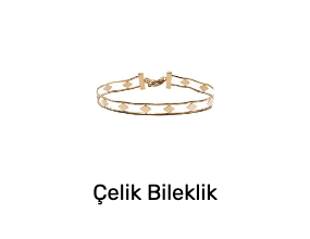 Çelik Bileklik