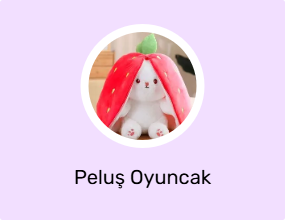 Peluş Oyuncak