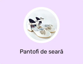 Pantofi de seară
