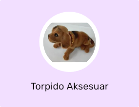 Torpido Aksesuar