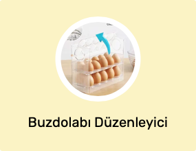 Buzdolabı Düzenleyici