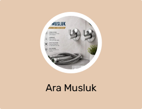 Ara Musluk