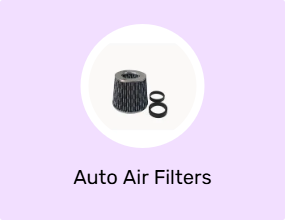 Auto Air Filters