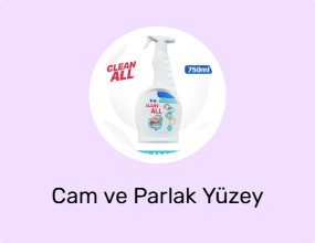 Cam ve Parlak Yüzey Temizleyici