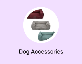 Dog Accessories
