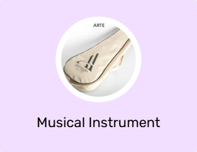 Musical Instrument Case