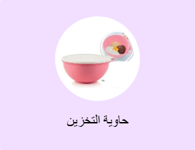 حاوية التخزين