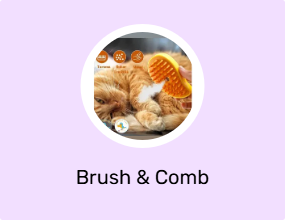 Brush & Comb