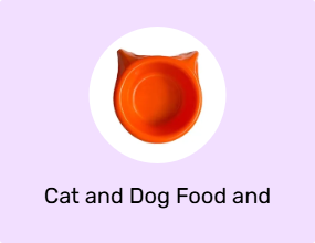 Cat and Dog Food and Water Containers
