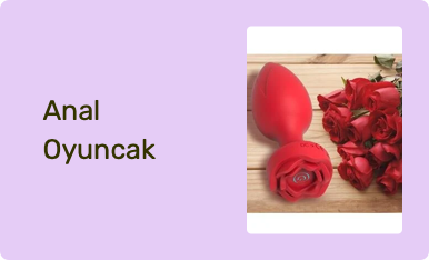 Anal Oyuncak