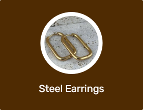 Steel Earrings