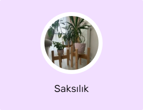 Saksılık