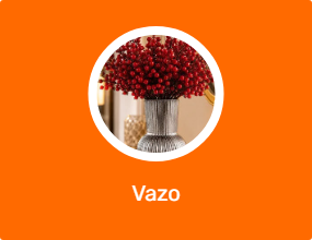 Vazo
