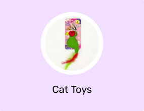 Cat Toys