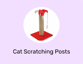 Cat Scratching Posts