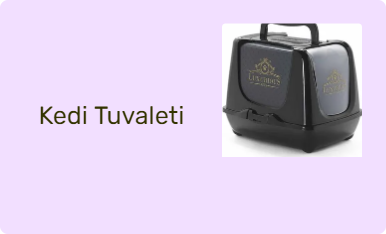 Kedi Tuvaleti