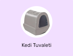 Kedi Tuvaleti