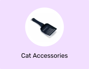 Cat Accessories
