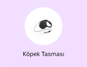 Köpek Tasması