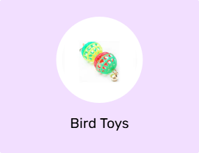 Bird Toys