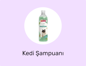 Kedi Şampuanı