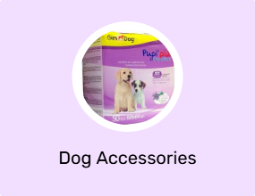 Dog Accessories