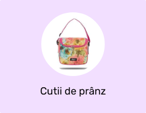 Cutii de prânz