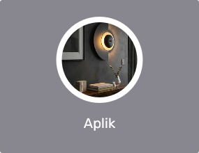 Aplik