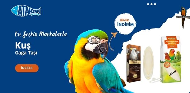 Banner Başlığı