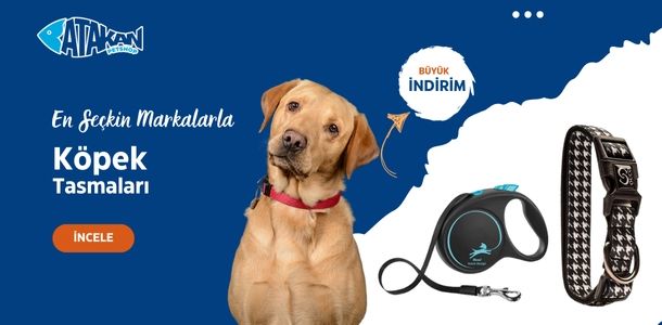 Banner Başlığı