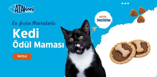 Banner Başlığı