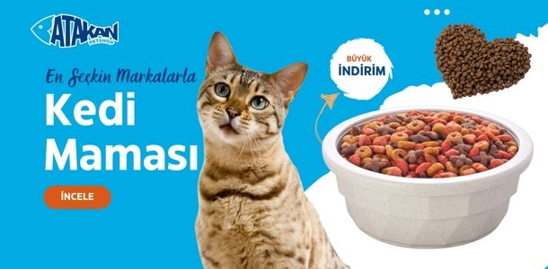 Banner Başlığı
