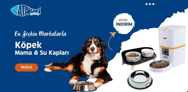 Banner Başlığı