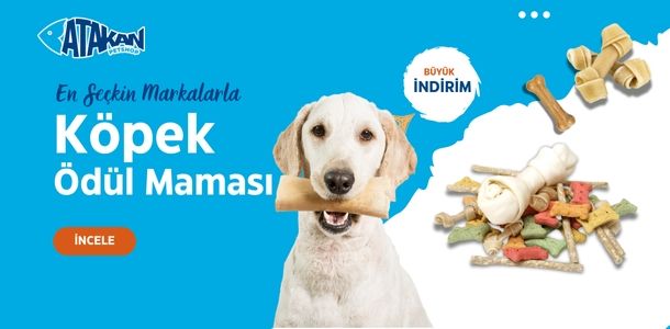 Banner Başlığı