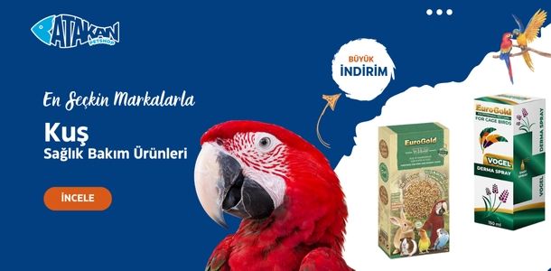 Banner Başlığı