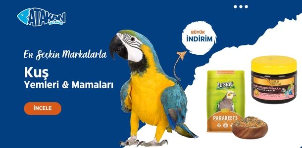 Banner Başlığı