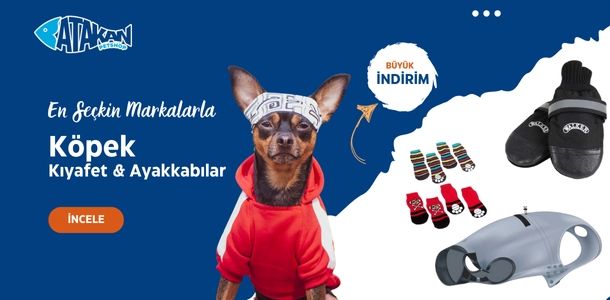 Banner Başlığı