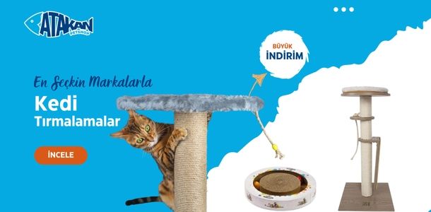 Banner Başlığı