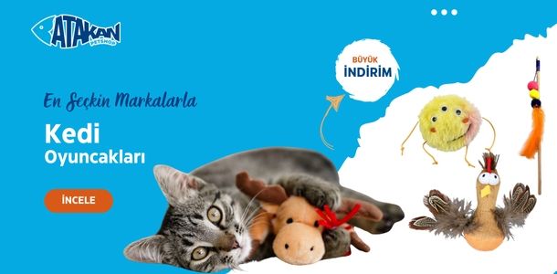Banner Başlığı