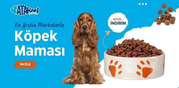 Banner Başlığı