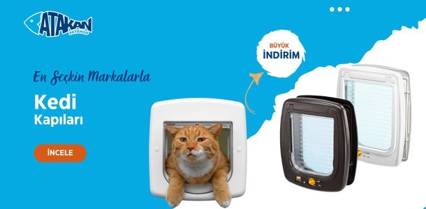 Banner Başlığı