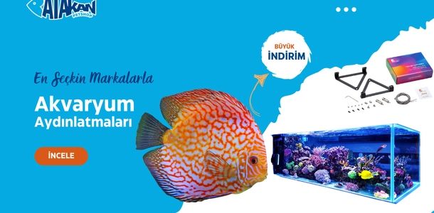 Banner Başlığı