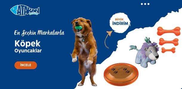 Banner Başlığı