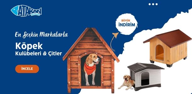 Banner Başlığı