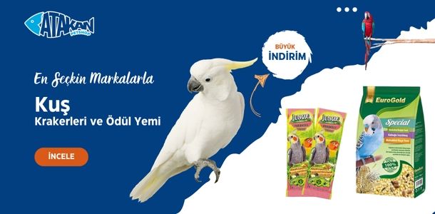 Banner Başlığı